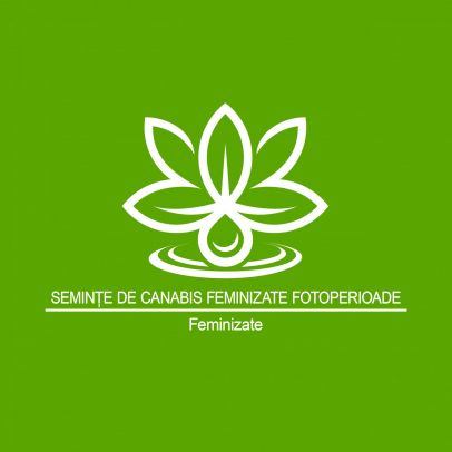 Semințe-de-Canabis-Feminizate-Fotoperioade-Feminizate